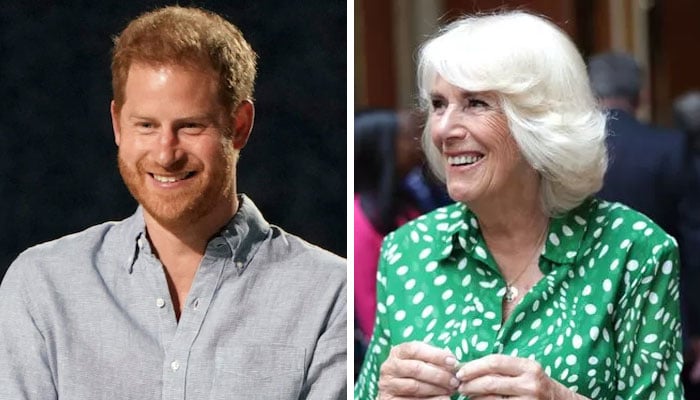 Prince Harry makes unexpected peace offering to ‘stepmother’ Camilla