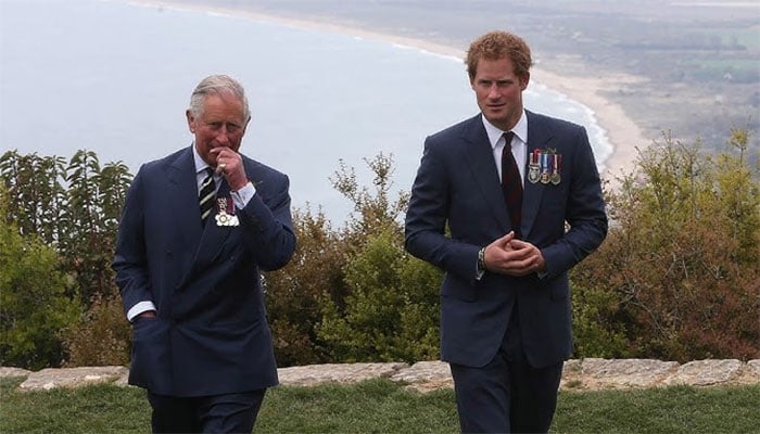 Prince Harrys UK visit lacks plans.