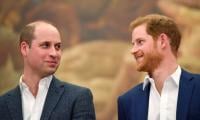 Prince William Honours Prince Harry With Touching Photo Amid Feud