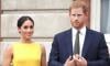 Prince Harry, Meghan Markle break silence over 'missing millions' claims