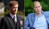 Royal Bodyguard Drops Bombshell Claims About Harry, William