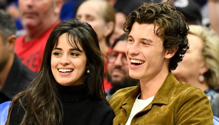 Shawn Mendes addresses Camila Cabello relationship