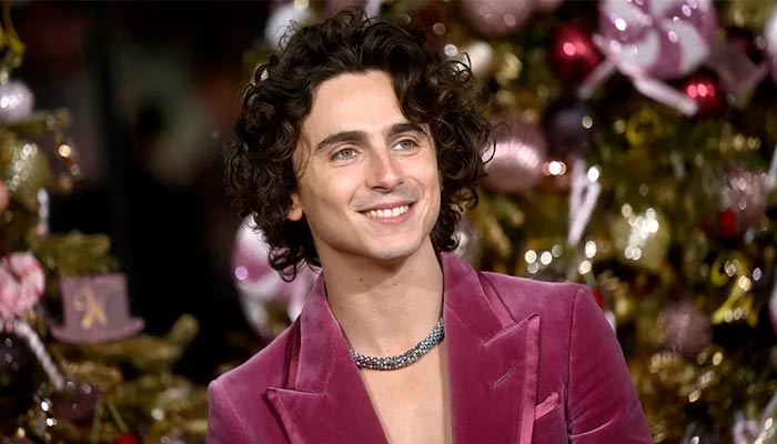 Timothee Chalamet basks in the happiness of latest family addition