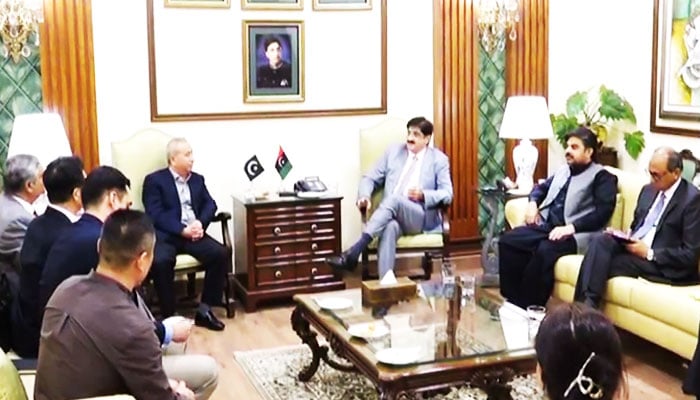 A delegation of Chinese investors meets Sindh Chief Minister Murad Ali Shah (third from right) on October 1, 2024. — screengrab/video/supplied