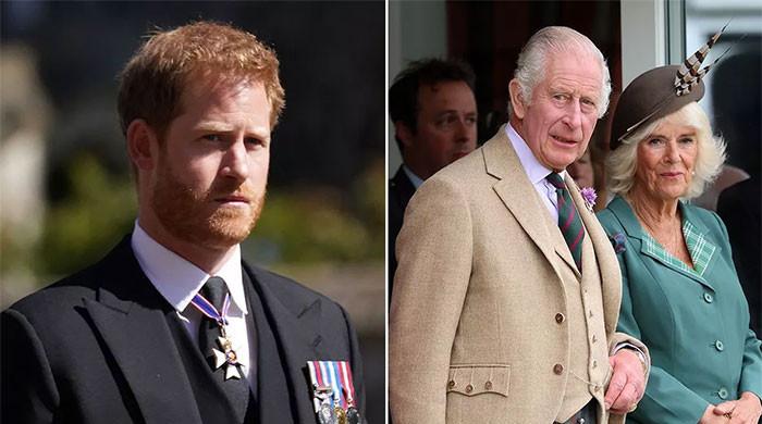 Queen Camilla has 'key interference' in King Charles' reconciliation with  Prince Harry