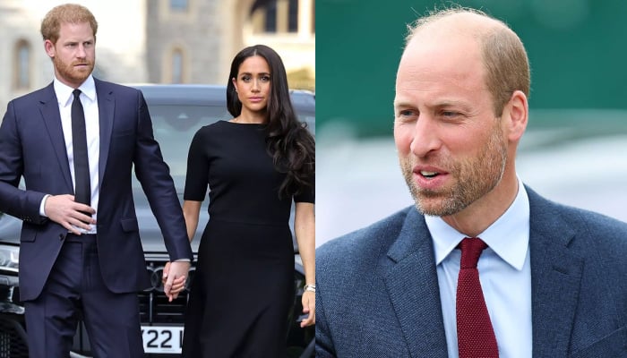 Meghan Markle plots revenge after Prince William teams up with Harry’s rival