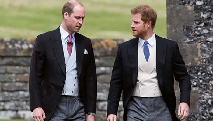 Prince William shares exciting update after Prince Harrys emotional plea