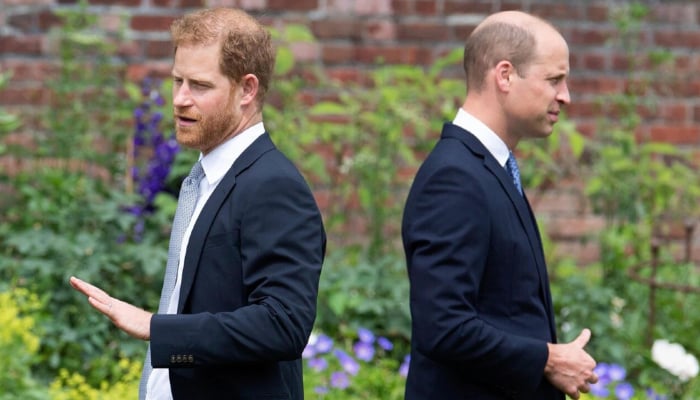 Prince William rejects Harry’s peace talks offer with shocking strategy