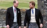 Prince William Shares Exciting Update After Prince Harry's Emotional Plea