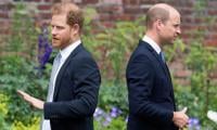 Prince William Rejects Harry’s Peace Talks Offer With Shocking Strategy