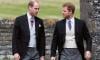 Prince William shares exciting update after Prince Harry's emotional plea