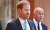 Prince Harry begins new chapter of life with successful UK trip