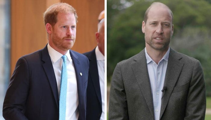 Prince Harry joins Prince William to promote an important cause