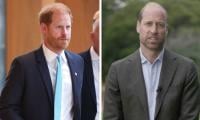 Prince Harry Joins Prince William To Promote An Important Cause  