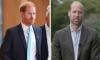 Prince Harry joins Prince William to promote an important cause  