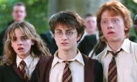 'Harry Potter' Star's 'suspicious' Property Raided In 13M Drug Swoop