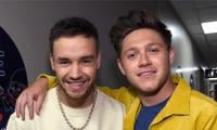 Liam Payne Reunites With Niall Horan At Argentina Concert With Kate Cassidy