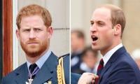 Prince William 'bloody Jealous' Of Prince Harry's 'charisma'