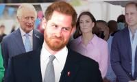 Prince Harry’s Solo Visits 'dangerous' For Royal Family Amid Charity Work