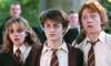 'Harry Potter' star's 'suspicious' property raided in 13M drug swoop