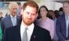 Prince Harry’s solo visits 'dangerous' for Royal Family amid charity work