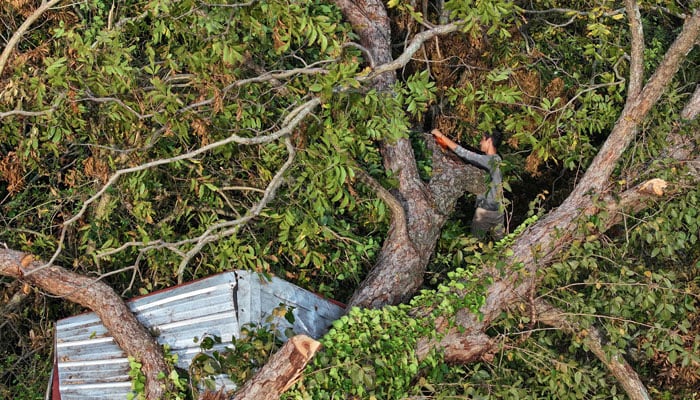 A man uses a chainsaw to cut up a tree that lays on top of a shed as the area recovers from the aftermath of Hurricane Helene in Augusta, Georgia on October 05, 2024. — AFP