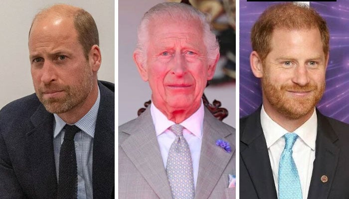 Prince William ‘desperately holding back’ King Charles over Harry reunion