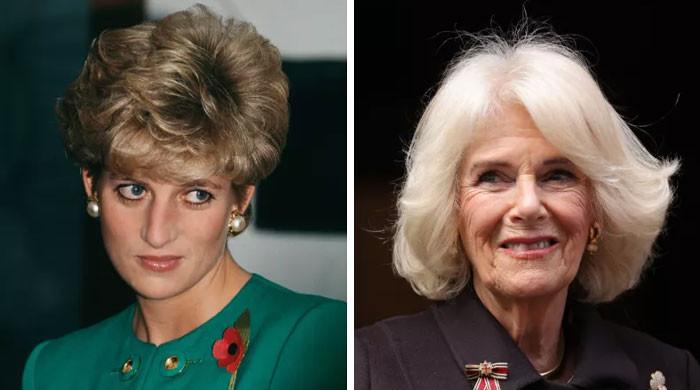 Princess Diana’s surprising remark for Camilla emerge for the first time