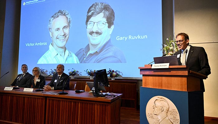 Thomas Perlmann, secretary of the Nobel Assembly and the Nobel Committee, speaks as Victor Ambros and Gary Ruvkun are awarded this years Nobel Prize in Physiology or Medicine in Stockholm, Sweden, October 7, 2024. — Reuters