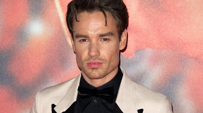 Liam Payne’s 2nd album on hold as career and health issues mount: Report