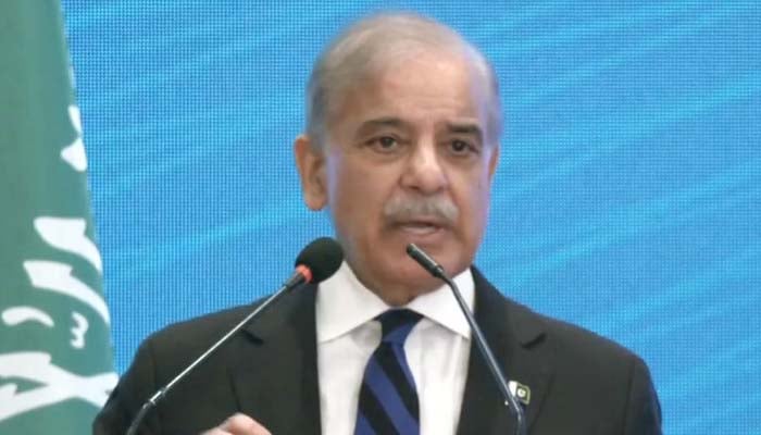 Prime Minister Shehbaz Sharif addressing Saudi Arabias delegation on October 10, 2024. — YouTube screengrab/Geo News Live