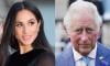 Meghan Markle rubs salt into King Charles wounds with 'revenge' dress 