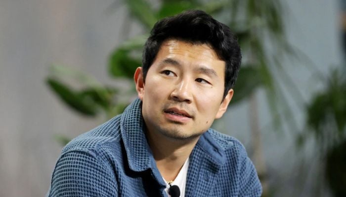 Simu Liu encouraged others to learn from their mistakes.