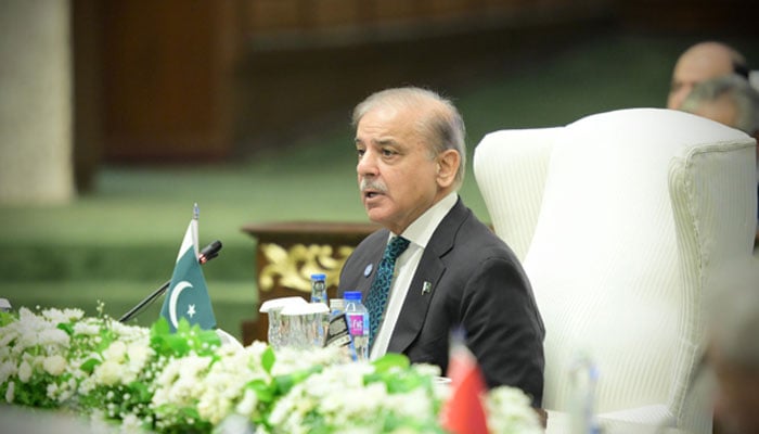 PM Shehbaz Sharif speaks at the SCO summit in Islamabad on October 16, 2024. — PID