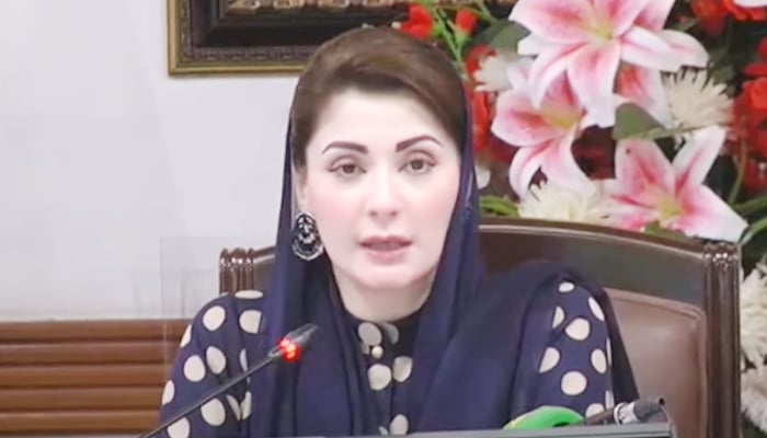 Punjab Chief Minister Maryam Nawaz addressing a press conference in Lahore, on October 16, 2024. — Screengrab/GeoNews