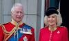 Queen Camilla fears King's Australia tour will take a toll