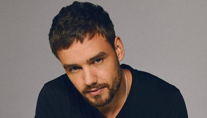 Liam Payne apologized for speaking negatively about One Direction bandmates before his death