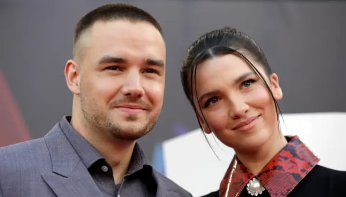 Liam Paynes ex Maya Henry discloses distressing truth about him