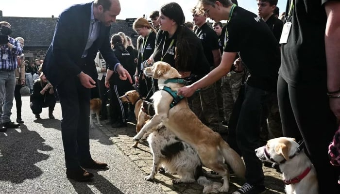 Prince William was greeted by an enthusiastic dog during his visit