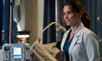 Sophia Bush Teases Grey’s Anatomy Debut: ‘Wasn’t Done With My Scrubs’ 