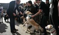 Excited Dog Welcomes Prince William During Duchy College Visit