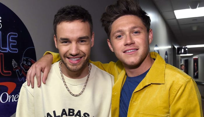 Niall Horan and Liam Payne reunited on October 2nd at his concert in Argentina