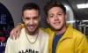 Niall Horan breaks cover after Liam Payne’s death