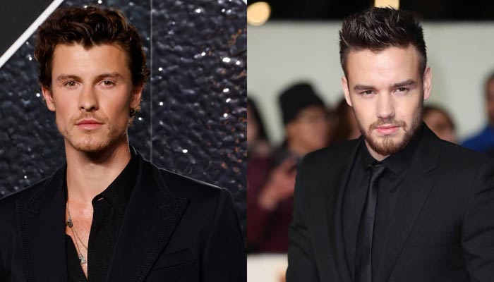 Shawn Mendes remembers Liam Payne in the most unique way