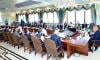 Federal cabinet to discuss constitutional amendments