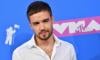 Liam Payne confesses 'becoming someone he didn't recognize' in throwback video