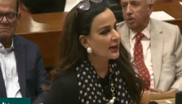 Pakistan Peoples Party (PPP) Senator Sherry Rehman speaks on the upper house floor in Islamabad, on October 20, 2024. — Screengrab via Geo News