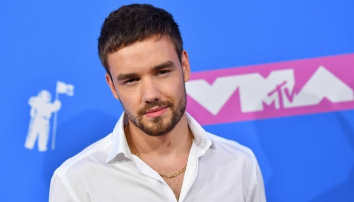 Liam Paynes friend spills details about his final hours