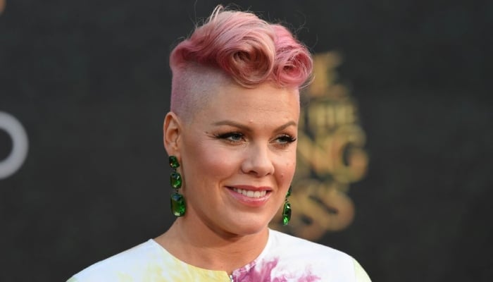 Pink disappoints fans for postponing multiple tour shows for unknown reasons