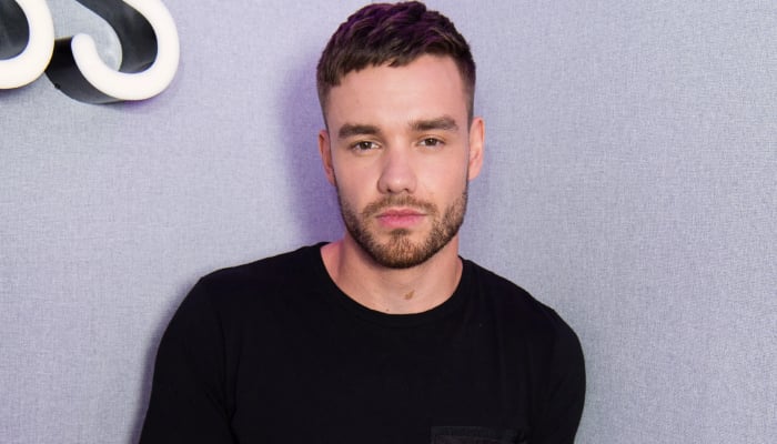 Rekan satu band dan anggota keluarga One Direction yang berduka memberikan penghormatan kepada mendiang Liam Payne